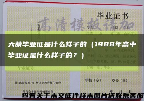 大萌毕业证是什么样子的（1988年高中毕业证是什么样子的？）缩略图