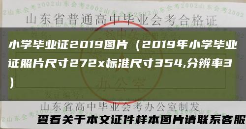 小学毕业证2019图片（2019年小学毕业证照片尺寸272x标准尺寸354,分辨率3）缩略图