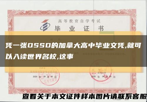 凭一张OSSD的加拿大高中毕业文凭,就可以入读世界名校,这事缩略图