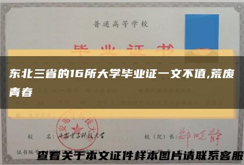 东北三省的16所大学毕业证一文不值,荒废青春缩略图