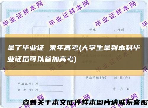 拿了毕业证 来年高考(大学生拿到本科毕业证后可以参加高考)缩略图