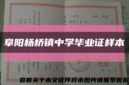 阜阳杨桥镇中学毕业证样本缩略图