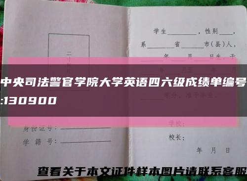 中央司法警官学院大学英语四六级成绩单编号:130900缩略图