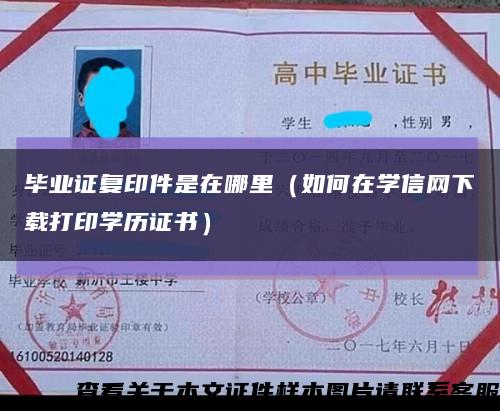 毕业证复印件是在哪里（如何在学信网下载打印学历证书）缩略图