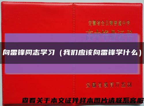 向雷锋同志学习（我们应该向雷锋学什么）缩略图