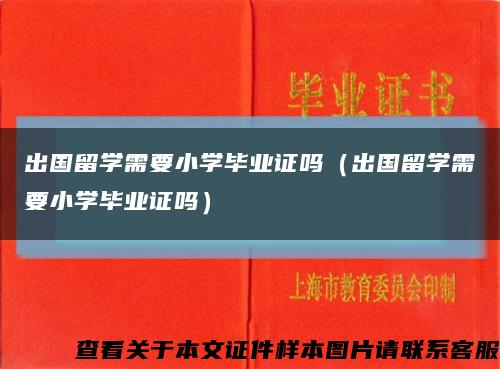 出国留学需要小学毕业证吗（出国留学需要小学毕业证吗）缩略图