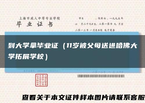 到大学拿毕业证（11岁被父母送进哈佛大学拓展学校）缩略图