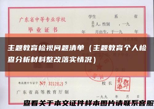 主题教育检视问题清单（主题教育个人检查分析材料整改落实情况）缩略图