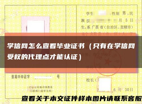 学信网怎么查看毕业证书（只有在学信网受权的代理点才能认证）缩略图