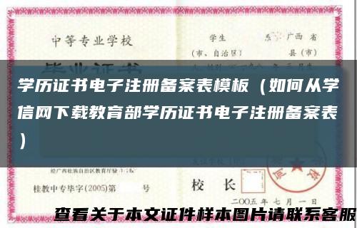 学历证书电子注册备案表模板（如何从学信网下载教育部学历证书电子注册备案表）缩略图