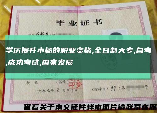 学历提升小杨的职业资格,全日制大专,自考,成功考试,国家发展缩略图