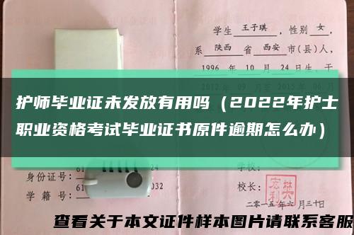 护师毕业证未发放有用吗（2022年护士职业资格考试毕业证书原件逾期怎么办）缩略图