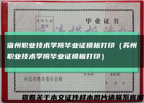 宿州职业技术学院毕业证模板打印（苏州职业技术学院毕业证模板打印）缩略图