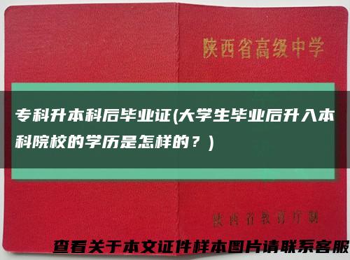 专科升本科后毕业证(大学生毕业后升入本科院校的学历是怎样的？)缩略图