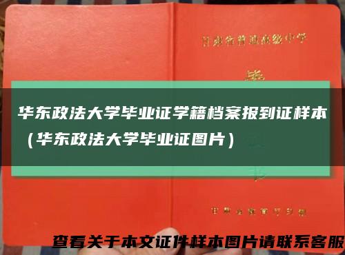 华东政法大学毕业证学籍档案报到证样本（华东政法大学毕业证图片）缩略图