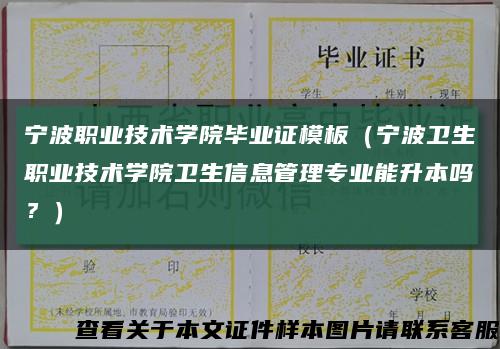 宁波职业技术学院毕业证模板（宁波卫生职业技术学院卫生信息管理专业能升本吗？）缩略图