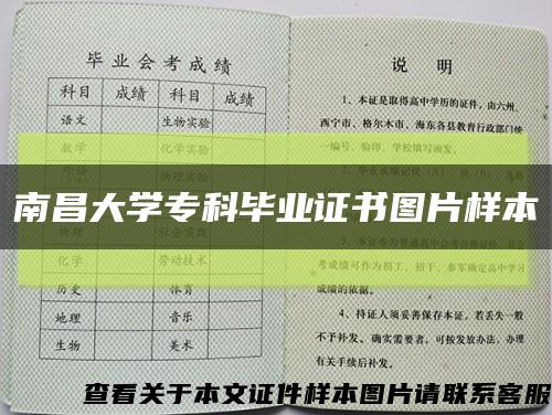 南昌大学专科毕业证书图片样本缩略图