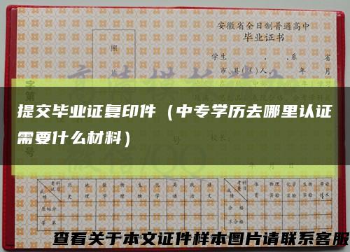 提交毕业证复印件（中专学历去哪里认证需要什么材料）缩略图