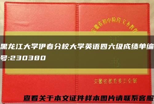 黑龙江大学伊春分校大学英语四六级成绩单编号:230380缩略图