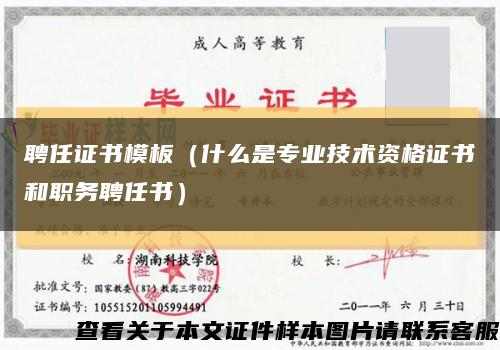 聘任证书模板（什么是专业技术资格证书和职务聘任书）缩略图