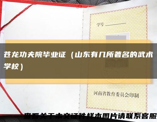 苍龙功夫院毕业证（山东有几所著名的武术学校）缩略图