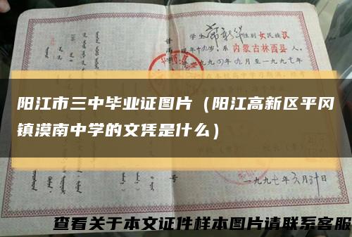 阳江市三中毕业证图片（阳江高新区平冈镇漠南中学的文凭是什么）缩略图