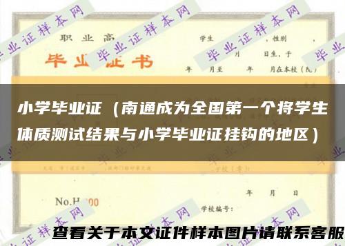 小学毕业证（南通成为全国第一个将学生体质测试结果与小学毕业证挂钩的地区）缩略图