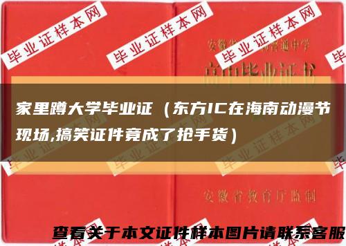 家里蹲大学毕业证（东方IC在海南动漫节现场,搞笑证件竟成了抢手货）缩略图