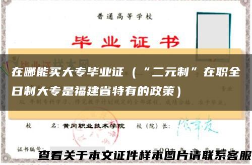 在哪能买大专毕业证（“二元制”在职全日制大专是福建省特有的政策）缩略图