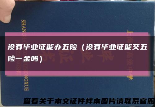 没有毕业证能办五险（没有毕业证能交五险一金吗）缩略图