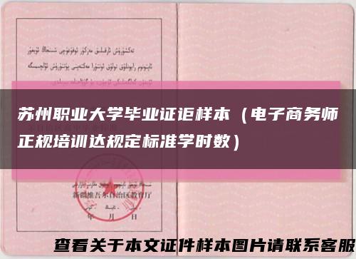 苏州职业大学毕业证讵样本（电子商务师正规培训达规定标准学时数）缩略图