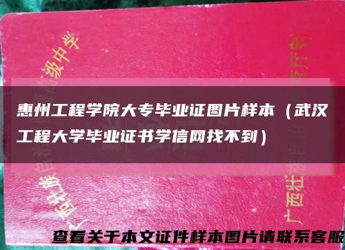 惠州工程学院大专毕业证图片样本（武汉工程大学毕业证书学信网找不到）缩略图