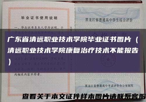 广东省清远职业技术学院毕业证书图片（清远职业技术学院康复治疗技术不能报告）缩略图