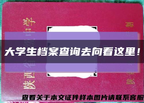 大学生档案查询去向看这里！缩略图