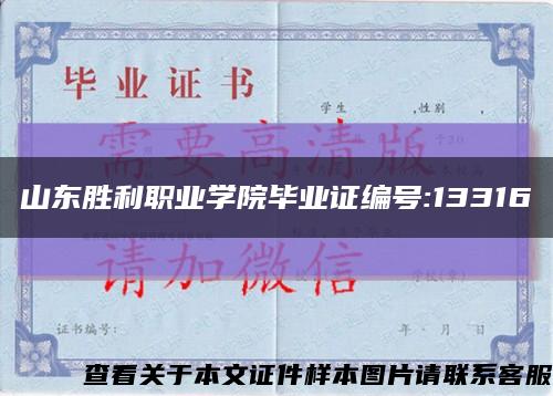 山东胜利职业学院毕业证编号:13316缩略图