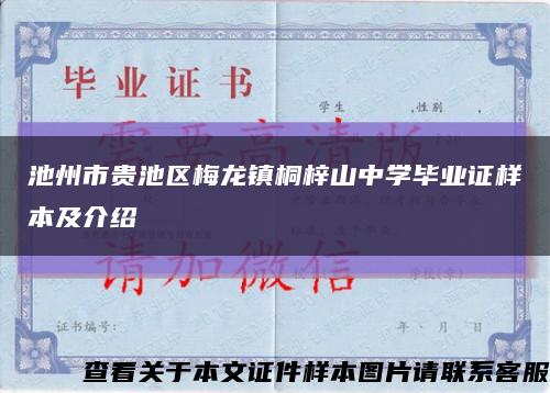 池州市贵池区梅龙镇桐梓山中学毕业证样本及介绍缩略图