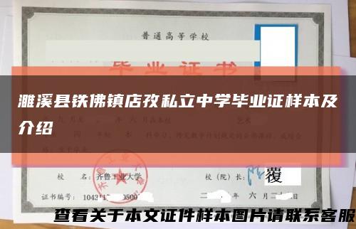 濉溪县铁佛镇店孜私立中学毕业证样本及介绍缩略图