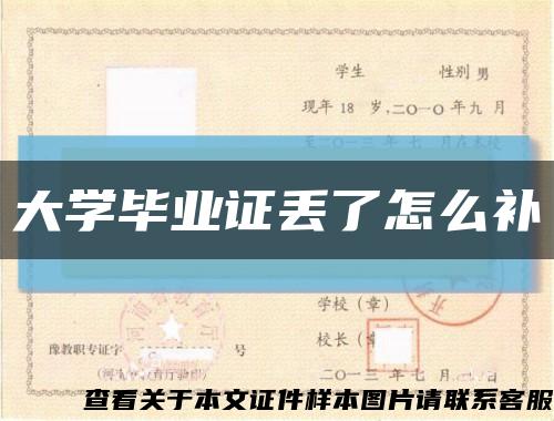 大学毕业证丢了怎么补缩略图