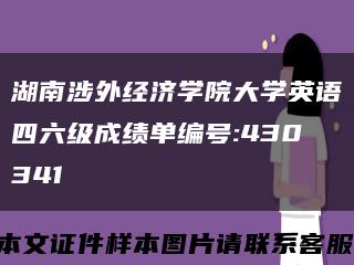 湖南涉外经济学院大学英语四六级成绩单编号:430341缩略图