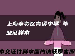 上海奉贤区青溪中学 毕业证样本缩略图