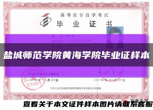 盐城师范学院黄海学院毕业证样本缩略图