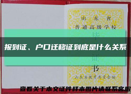 报到证、户口迁移证到底是什么关系缩略图