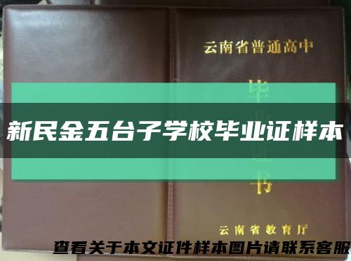 新民金五台子学校毕业证样本缩略图