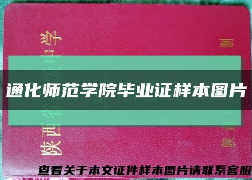 通化师范学院毕业证样本图片缩略图