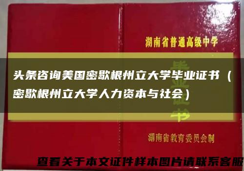 头条咨询美国密歇根州立大学毕业证书（密歇根州立大学人力资本与社会）缩略图