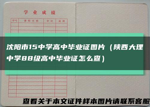 沈阳市15中学高中毕业证图片（陕西大理中学88级高中毕业证怎么查）缩略图