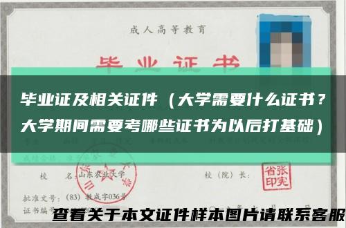 毕业证及相关证件（大学需要什么证书？大学期间需要考哪些证书为以后打基础）缩略图