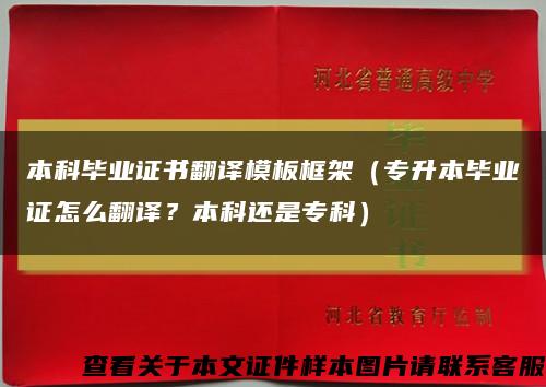 本科毕业证书翻译模板框架（专升本毕业证怎么翻译？本科还是专科）缩略图