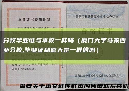 分校毕业证与本校一样吗（厦门大学马来西亚分校,毕业证和厦大是一样的吗）缩略图