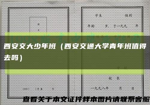 西安交大少年班（西安交通大学青年班值得去吗）缩略图